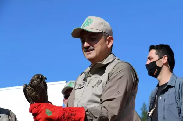 Bakan Pakdemirli rehabilite edilen yaban hayvanlarını doğaya bıraktı