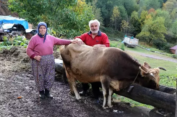 28'nci kez doğum yapacak! Bu aile her şeyini 'Devlet'e borçlu