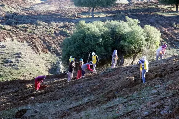 Kilis'te Aroma Vadisi oluşturuldu