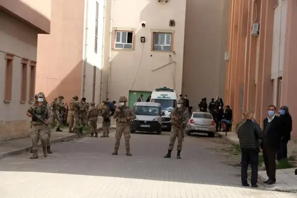 PKK'lı teröristlerin tuzakladığı patlayıcı infilak etti: Çoban hayatını kaybetti