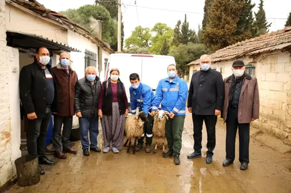 Büyükşehir Belediyesi Çine çaparını koruma altına aldı