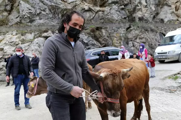 Yangının üzerinden 1 ayın geçtiği Dereiçi'nde yaralar sarılmaya devam ediyor