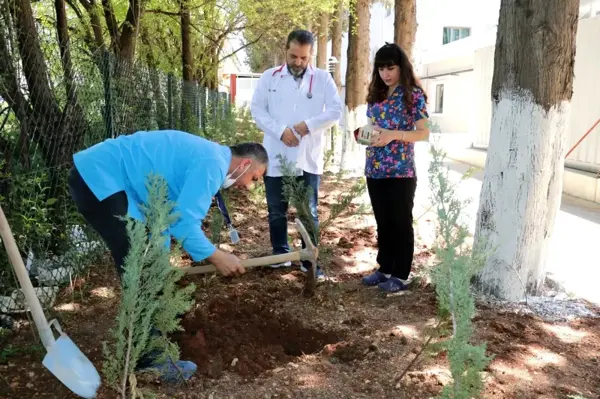 Son dakika haberleri | Göbek bağları hastane bahçesine gömüldü