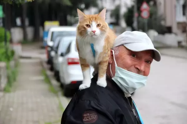 Şehir şehir, sokak sokak kedisini omuzunda gezdiriyor