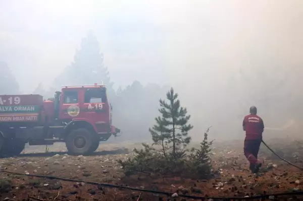 Alanya'da orman yangını kontrol altına alındı