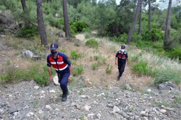 Kayıp kampçıyı arama çalışmaları 11'inci gününde