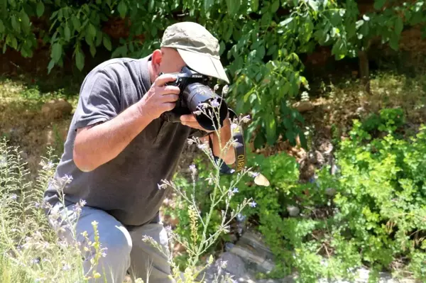 Adım adım gezdiği doğada 150 tür kelebeği fotoğraflamayı başardı