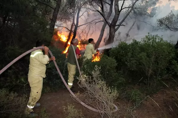 Foça'daki yangının etrafı çevrildi