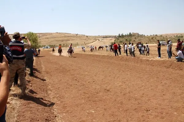 Mardin'de rahvan atı yarışı düzenlendi