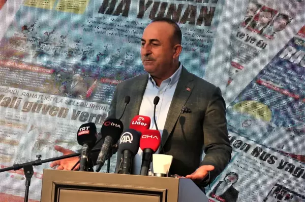 Bakan Çavuşoğlu: 