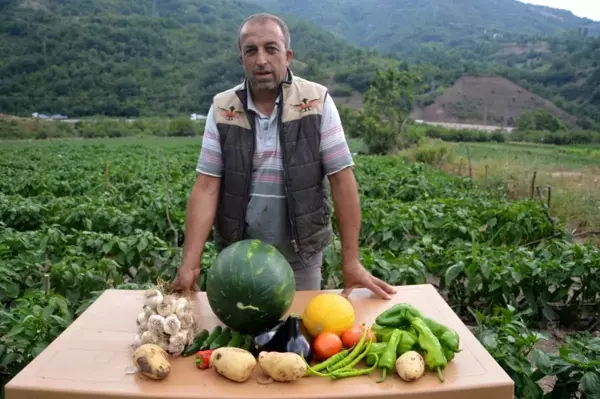 Son dakika ekonomi: Atıl durumdaki araziyi ekilebilir hale getirdi, 2 milyon lira kazanç bekliyor