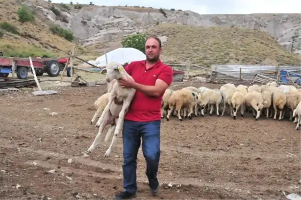 HAYVANLARI GÖÇÜK ALTINDA KALAN BESİCİYE YARDIM