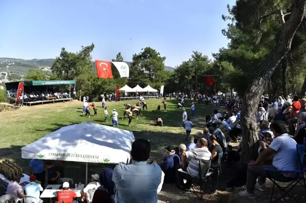 Osmangazi'den 'siyah incir'e yakışan festival