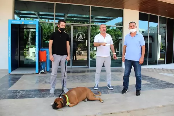 Site bahçesine köpek girmesinden çıkan kavgada yeni görüntüler ortaya çıktı