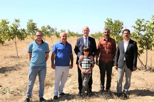 Tuşba Belediyesi'nin öncülük ettiği 'Model ceviz-badem' bahçelerinde ürün alınmaya başlandı