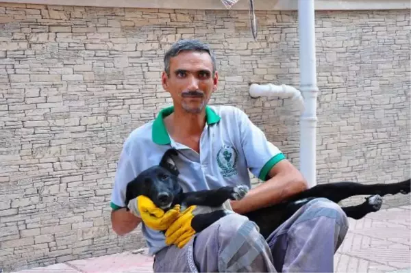 SOKAK KÖPEĞİ, TEMİZLİK İŞÇİSİNİN YANINDAN BİR AN OLSUN AYRILMIYOR