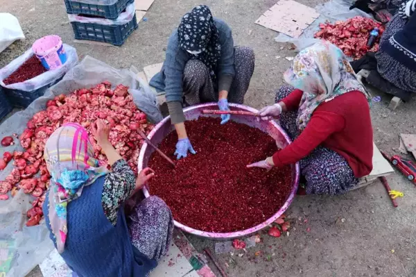 Nar ekşisi Malatyalı kadınların ek gelir kapısı oldu