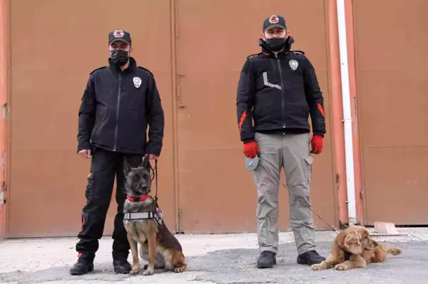 Elazığ'da uyuşturucu tacirlerinin korkulu rüyası: Alex ve Nina