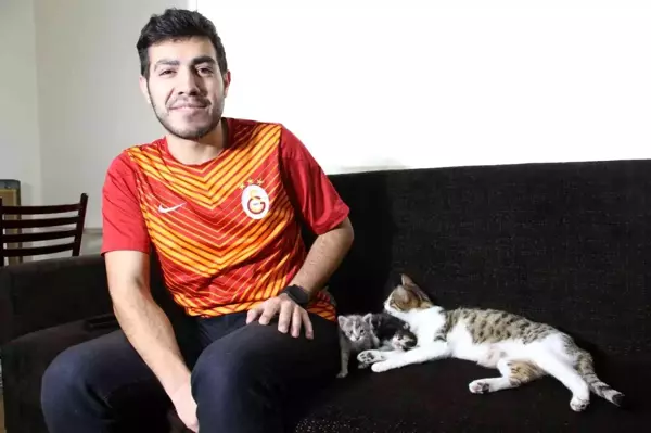 Üşümesin diye evine aldığı kedi 3 yavru doğurarak sürpriz yaptı