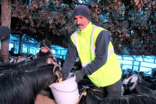 Huzur ve güven ortamıyla köyüne geri dönen çiftçinin yüzü güldü