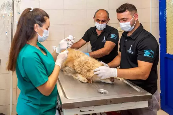 Bu iş birliği Türkiye'ye örnek olacak