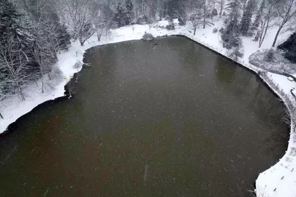 Atatürk Arboretumu'nda kartpostallık kar manzaraları