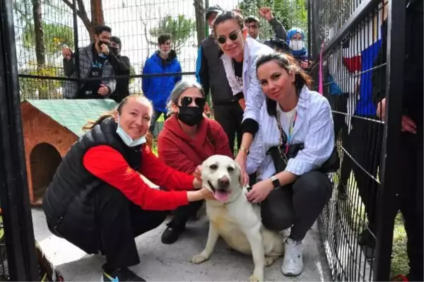 TSK'nın bomba arama köpeği Afi öğrencilerin 'can dostu' oldu