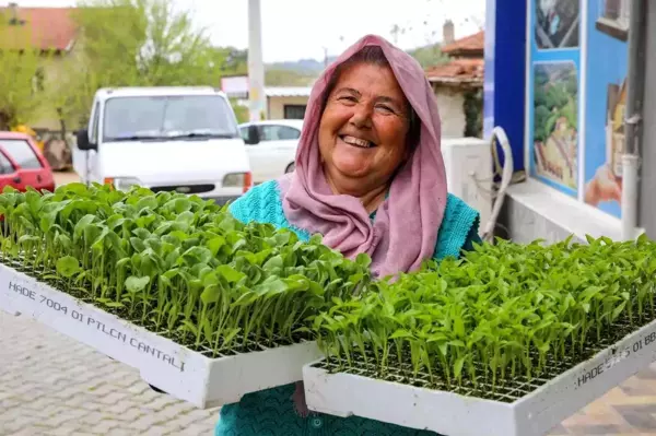 Buca Belediyesi'nden Üreticiye 100 Bin Sebze Fidesi