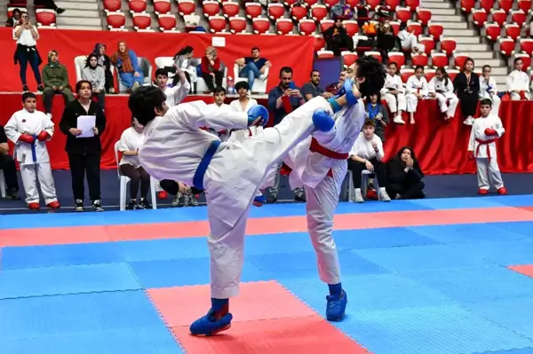 Ankara Büyükşehir'den Karate Şenliği