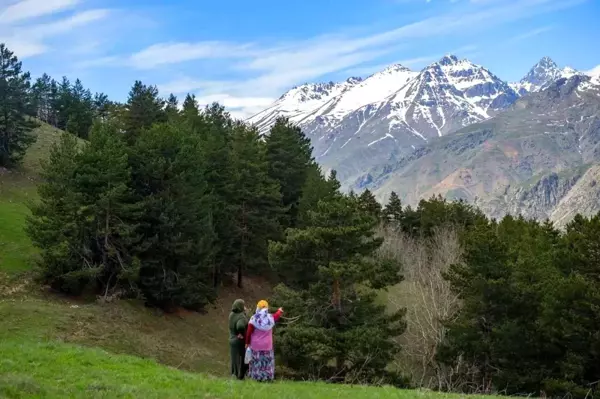 Kilometrelerce yürüdüler, tırmandılar ve doğal güzelliği fotoğrafladılar