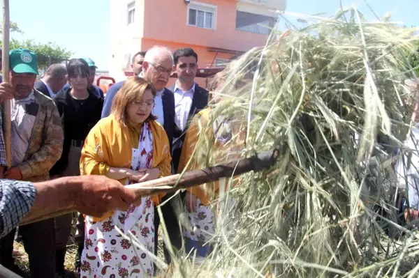 Geleneksel yöntemlerle yapılan firik ütme başladı