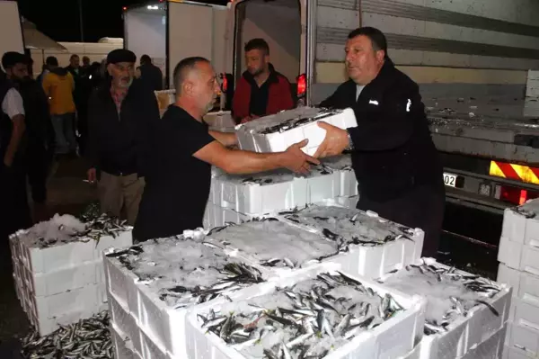 Ordu'da Balık Halinde Yoğunluk Yaşanıyor