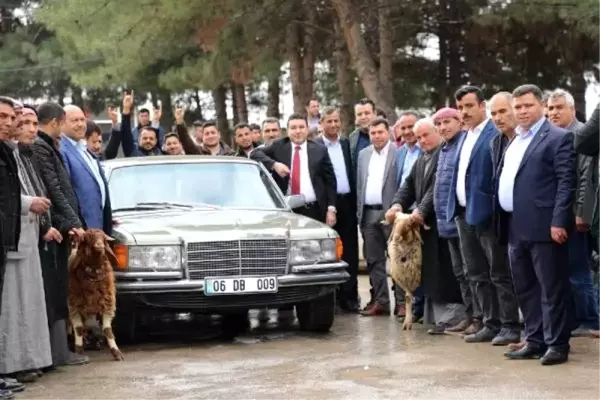 Devlet Bahçeli'nin hediye ettiği otomobil, Harran'da kurban kesilerek karşılandı