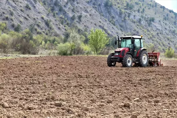 Çiftçiler korona virüse rağmen üretimi sürdürüyor