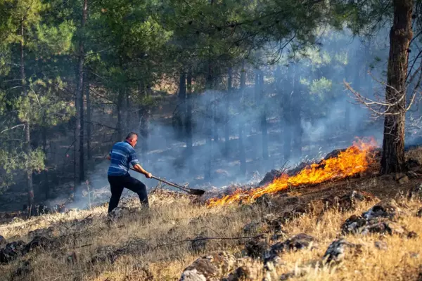 Hatay'da çıkan örtü yangını kontrol altına alındı