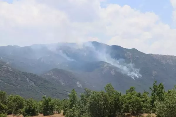 GÖRESE DAĞI'NDA 5 GÜN SÜREN ORMAN YANGININDA 30 HEKTAR ALAN YANDI