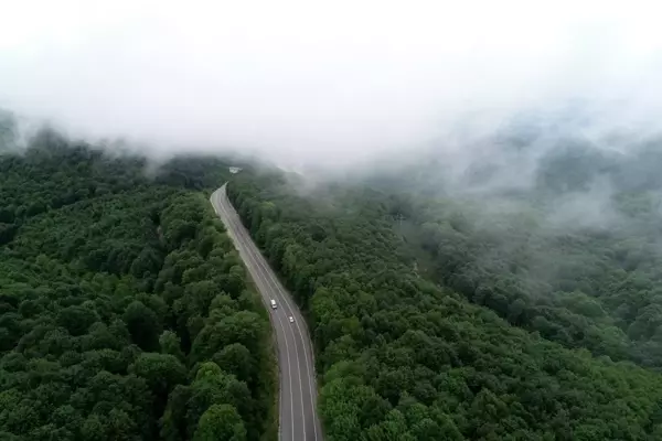 Istranca ormanlarını saran sisin büyüleyici güzelliği ilgi gördü