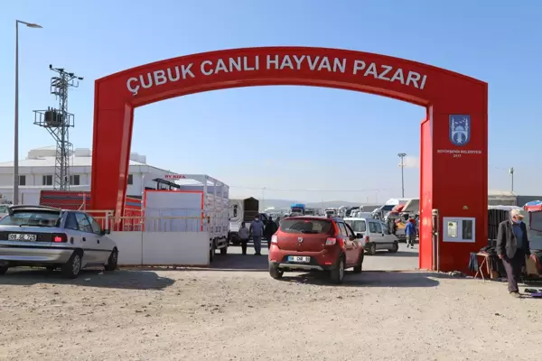 Çubuk'ta kurbanlık satışı başladı