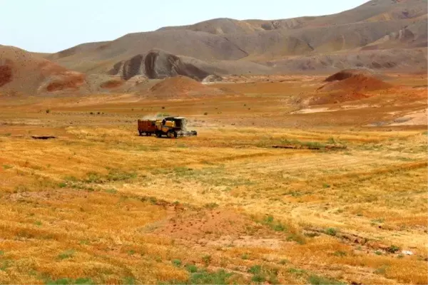 Binlerce dönümlük çorak arazi yeniden tarıma kazandırılıyor