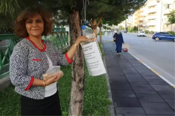 'MEYVE ÇEKİRDEKLERİ ÇÖP OLMASIN' FARKINDALIĞI BAŞLATTI