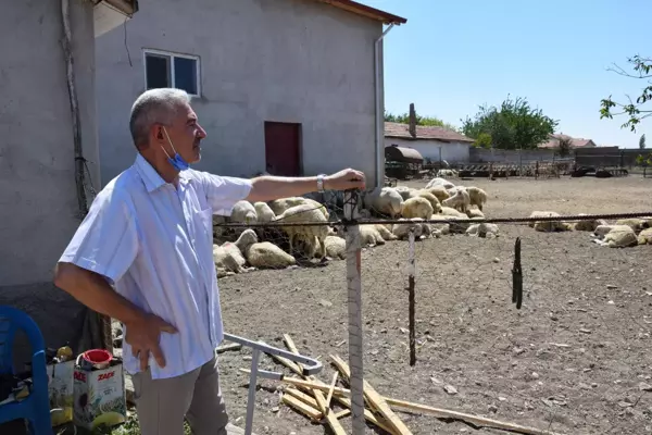 İsveç'teki gurbetçilerden memleketleri Kulu'ya 195 kurban yardımı