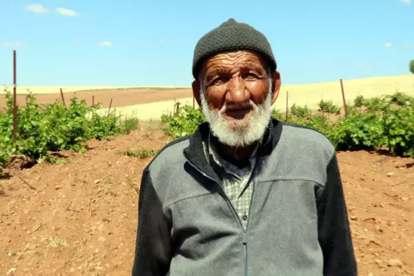 Bağında yetiştirdiği üzümleri satmak yerine köylülere ikram ediyor