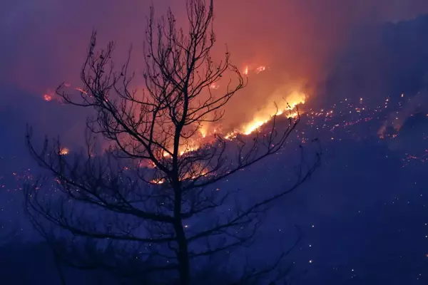 Orman yangınına müdahale sürüyor