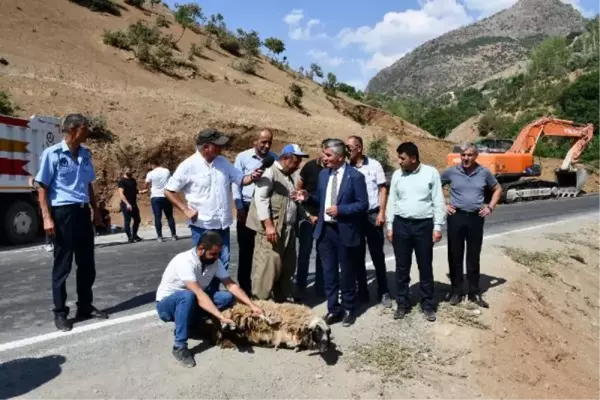 YOL ÇALIŞMASINI KURBAN KESEREK KUTLADILAR