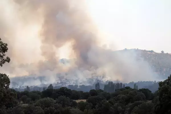 Uşak'ta çıkan yangın kontrol altına alındı