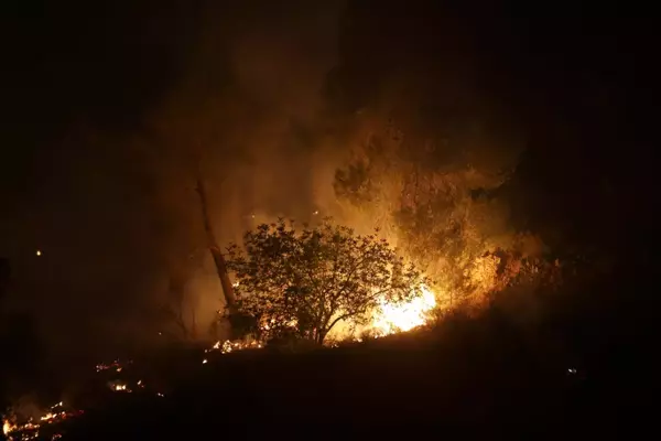 Batı Kudüs'teki ormanlık alanda çıkan yangınlar ikinci gününde devam ediyor (3)