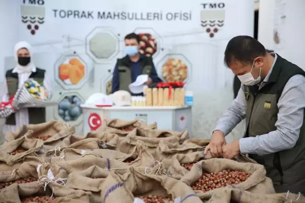 TMO Genel Müdürü Ahmet Güldal'dan fındık alımı değerlendirmesi