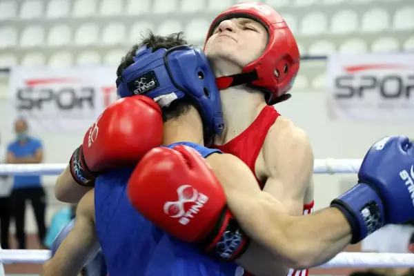 Türkiye Boks Federasyonu Başkanı Gözgeç: 