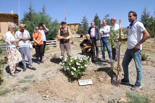 Sonsuz Şükran Köyü'nde Yunus Emre anısına çınar fidanı dikildi