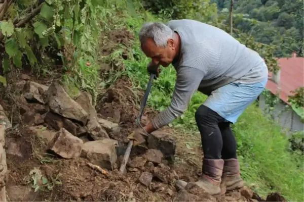 Atandığı ülkeye gidemeyen Türk büyükelçi, bağ bahçe işleri yapıyor